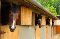 free Marfleet stable construction quotes